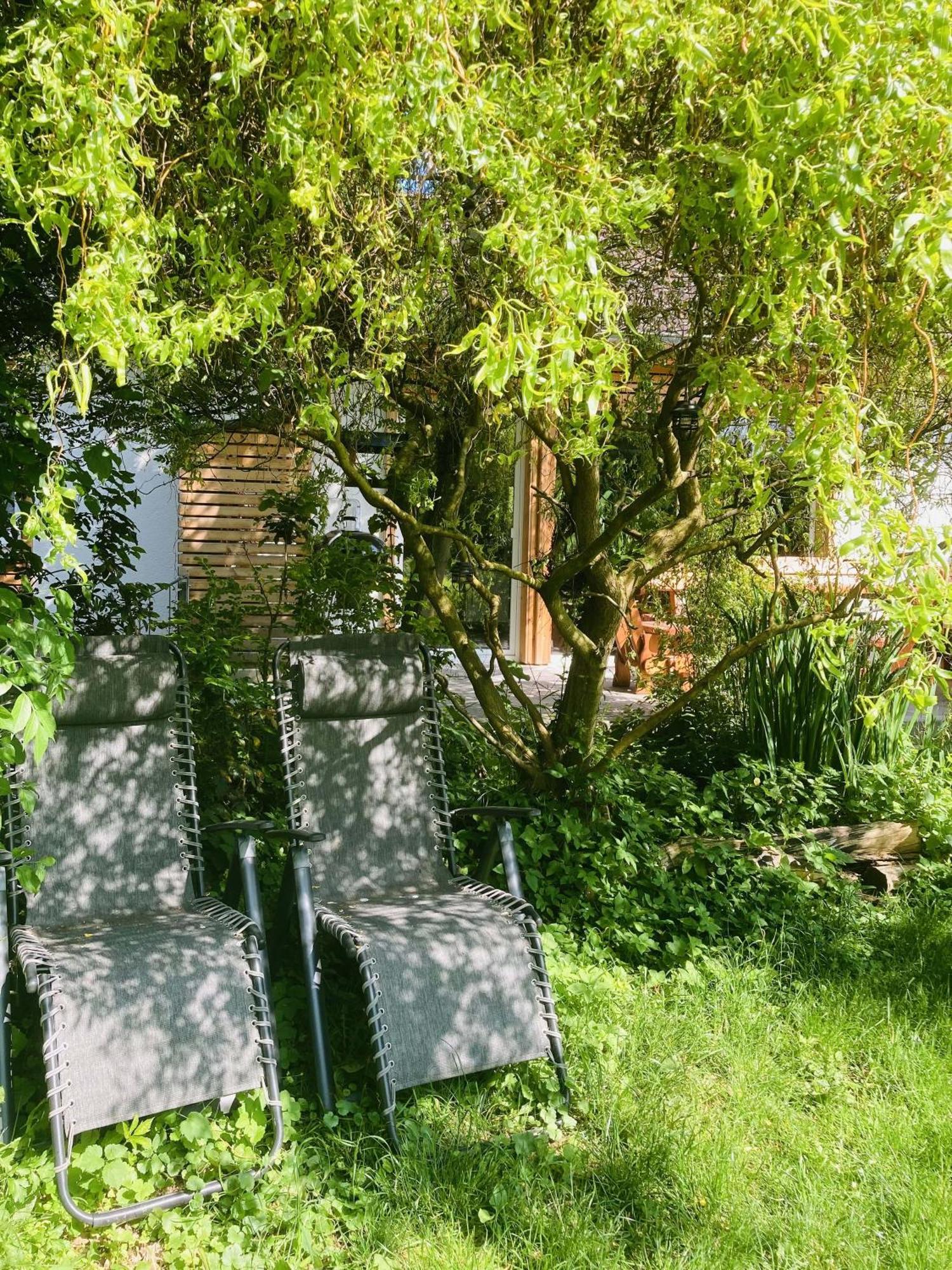 Ferienhaus Urwald 霍夫吉斯马尔 外观 照片