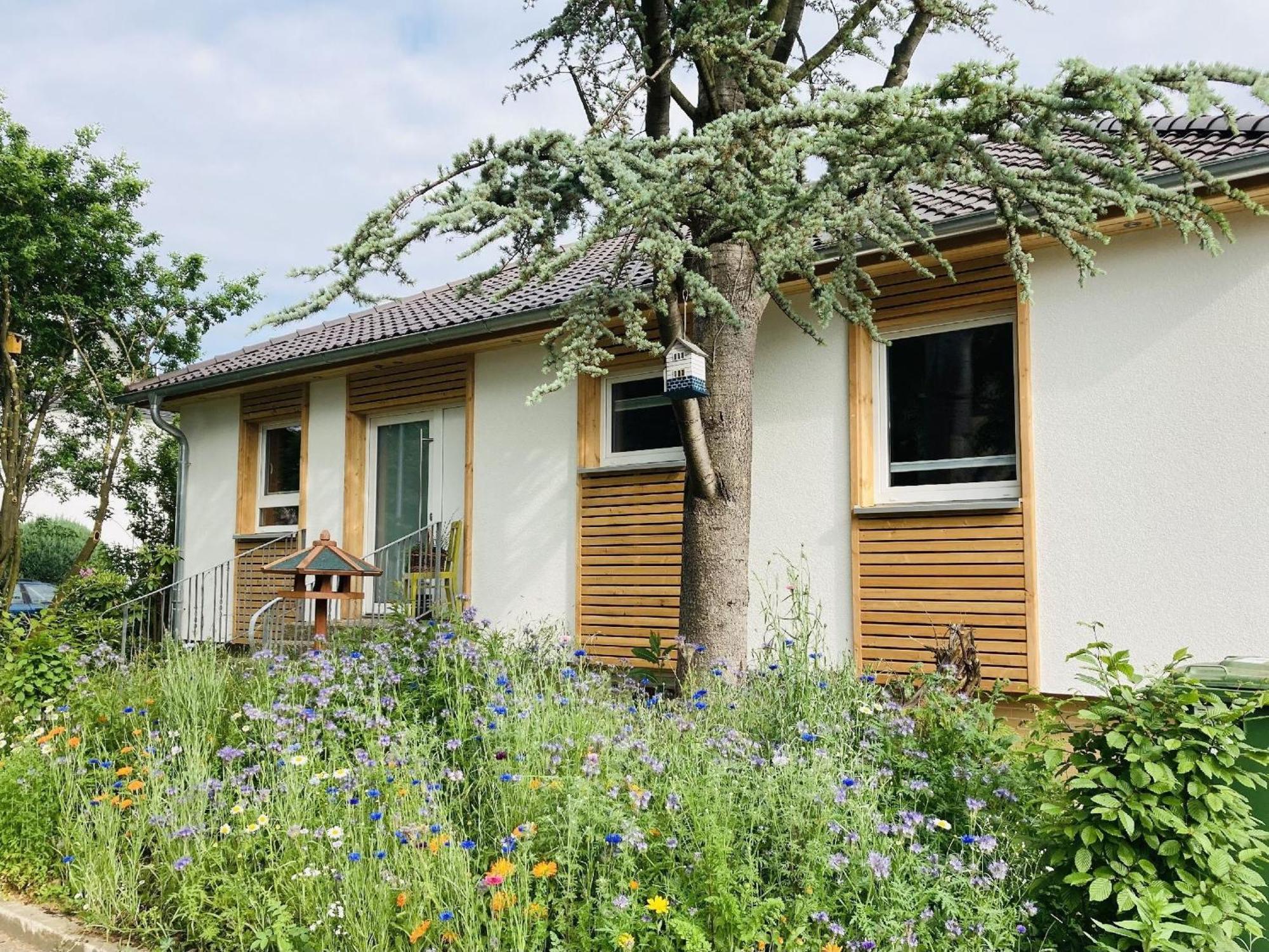 Ferienhaus Urwald 霍夫吉斯马尔 外观 照片